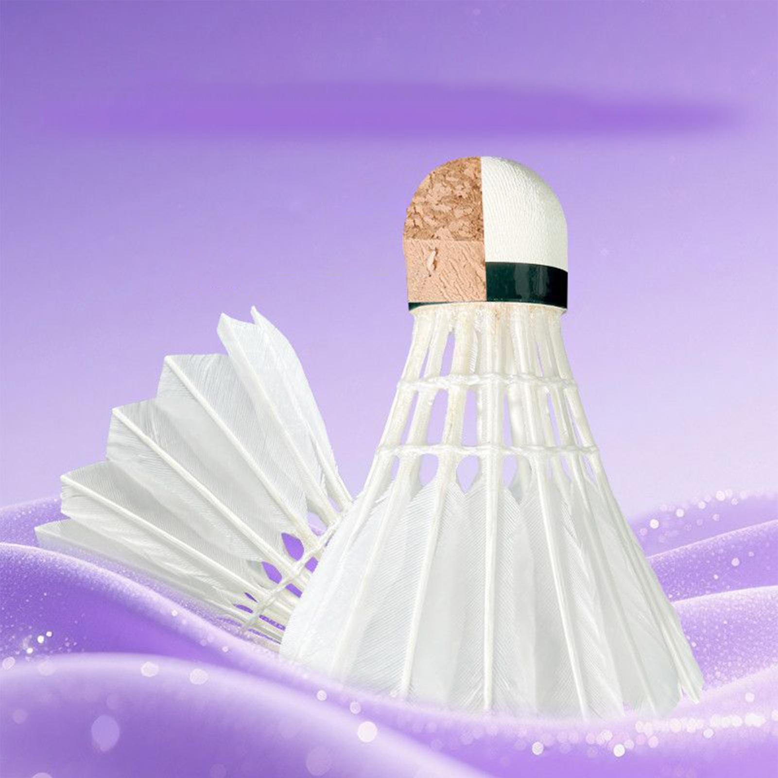 Badminton Bird Outdoor Trainin - огляд і ціна Outdoor Sportsman Group