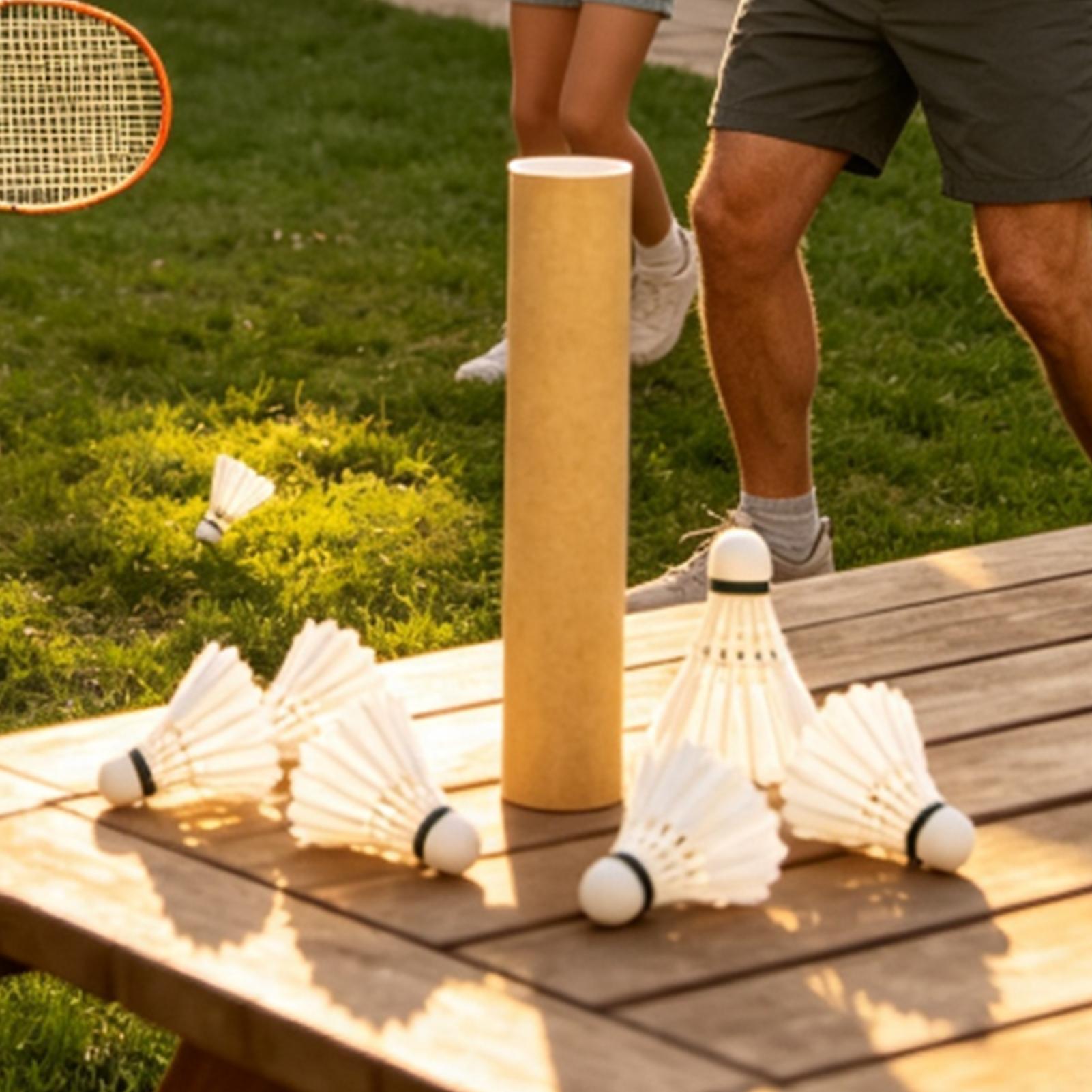 Badminton Bird Outdoor Trainin - огляд і ціна Outdoor Sportsman Group